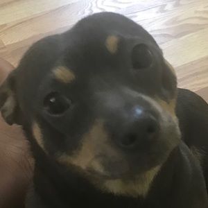 Meet your Posher, Justin